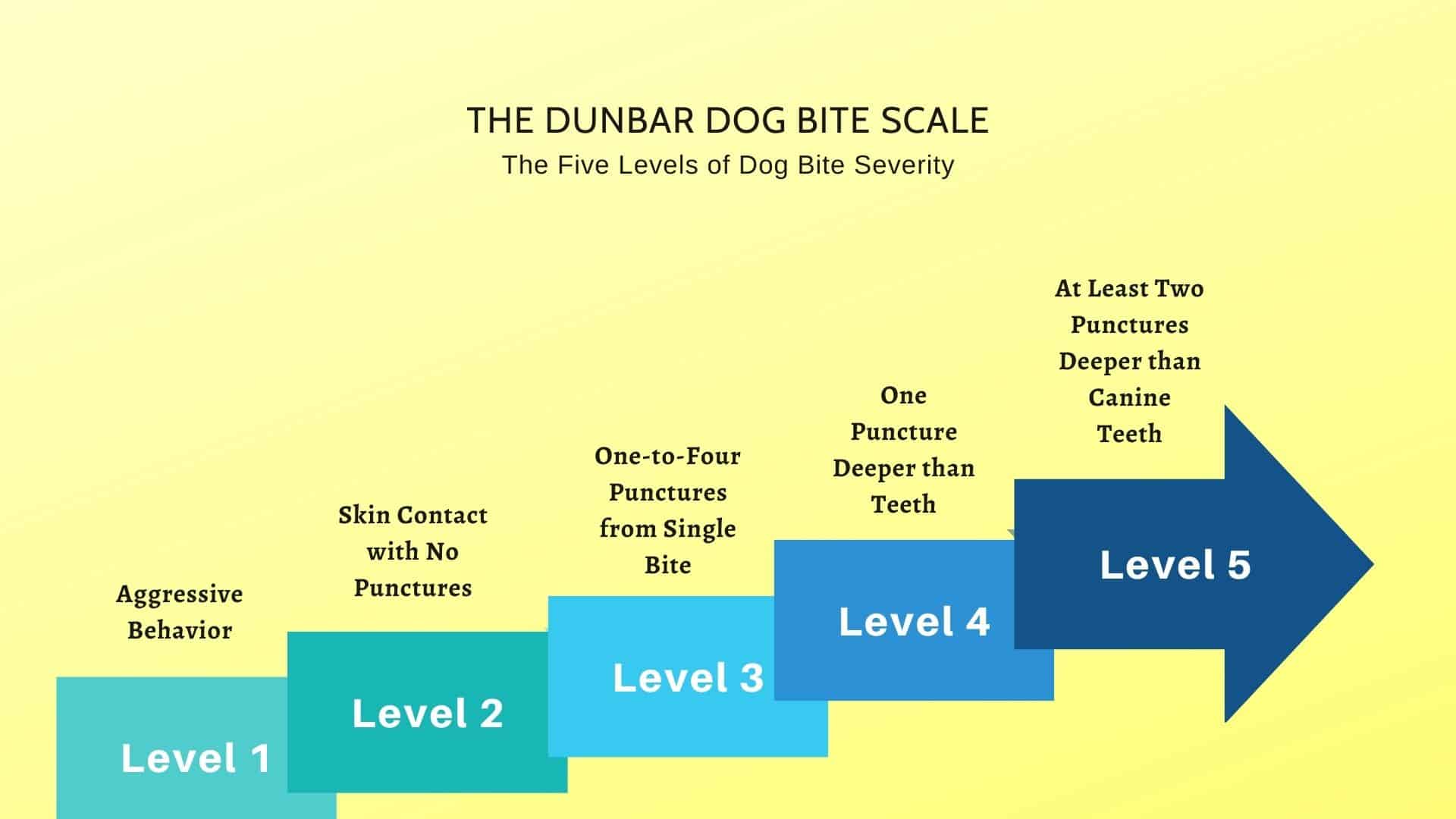 Ian Dunbar Dog Bite Scale chart
