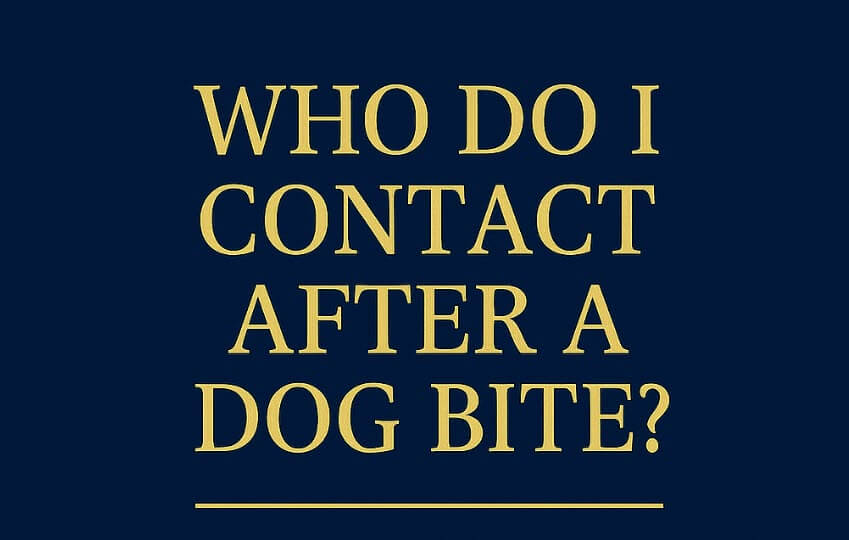 Who Do I Contact After a Dog Bite? Blog Title Card.
