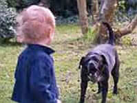 toddler looking at black dog in yard