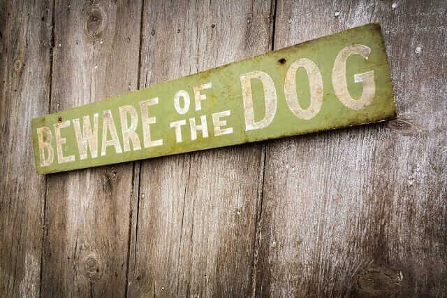 A beware of the dog signage posted on a wooden wall.