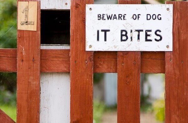 dog attack sign