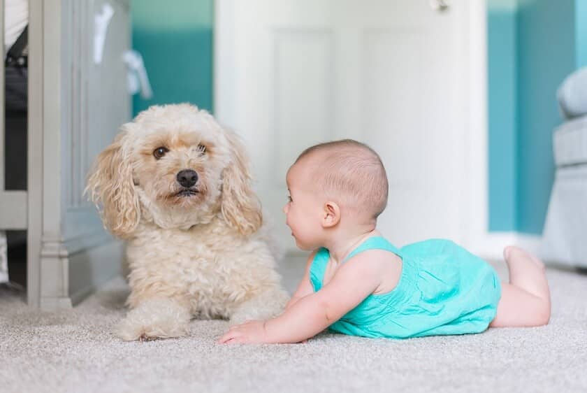 baby lies next to dog looking at camera on the floor